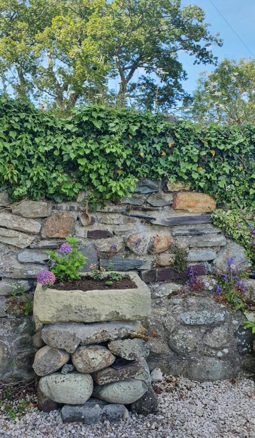 Green Cottage - Snowdonia Llanllechid 外观 照片